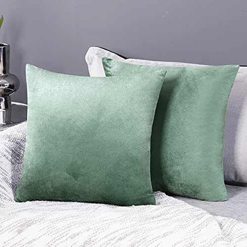 Deconovo 2er Set Samt Kissenbezüge Sofa Kissenbezug Zierkissenbezüge Weich Dekokissen Sofakissen Couchkissen Dekor Schlafzimmer Kissenhülle Wohnzimmer Kissenhüllen Couch Büro, 40x40 cm, Hellgrün von Deconovo