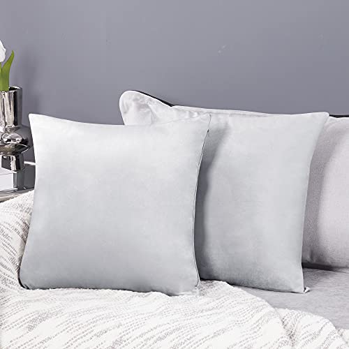 Deconovo 2er Set Samt Kissenbezüge Sofa Kissenbezug Zierkissenbezüge Dekokissen Weich Kissenhülle Dekor Sofakissen Schlafzimmer Kissenhülle Wohnzimmer Kissenhüllen Couch Büro, 40x40 cm, Hellgrau von Deconovo