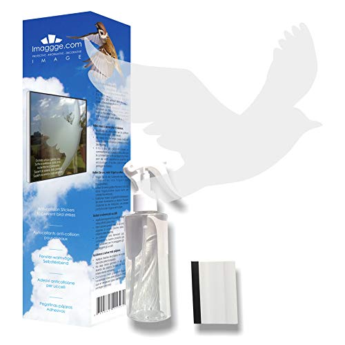 Decooo.be 22 Fenster-Warnvögel - Verhindert Vogelschlag - Set komplett mit leerer Spray und Rakel - Selbstklebend greifvogel - Farbe : Lichtdurchlässiger gesandstrahlt von Decooo.be