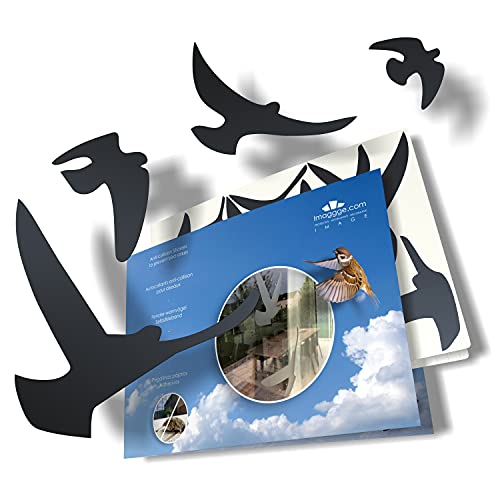 Greifvogel-Silhouetten, selbstklebend, in verschiedenen Farben verfügbar, verhindert Vogelschlag, 17 Warnvögel - Noirs von Decooo.be