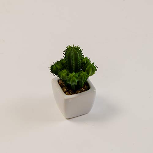 Künstliche Sukkulente Kaktuspflanze mit Topf Fake Kaktus Büro Zuhause Garten Dekoration von Decor Essentials