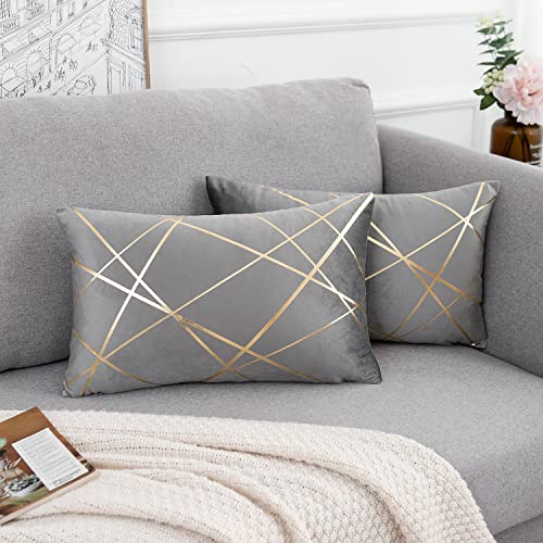 2er Set Samt Kissenbezüge 30x50 cm Grau Geometrie Bronzieren Dekokissen Kissenhülle Sofakissen Couchkissen Dekorative Kissen Kissenbezüge Outdoor Zierkissen Bezug für Schlafzimmer Sofa Bett Sommer von DecorMommt