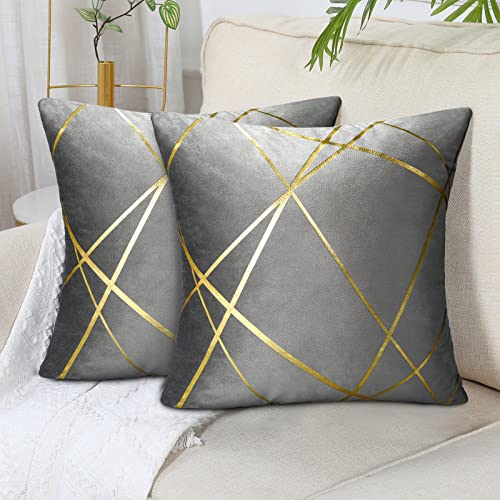 40x40Cm Samt Kissenbezug 2er Set Grau Bronzieren Geometrie Dekokissen Kissenhülle Sofakissen Couchkissen Dekorative Kissen Kissenbezüge Zierkissen Bezug für Schlafzimmer Sofa Bett von DecorMommt