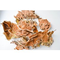 Getrocknete Birkenrinde Natürliches Terrarium & Wanddekoration Getrocknete Birkenrinde Natürliches Terrarium & Wanddekoration von DecorNatural