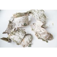 Natürliche Birkenrindenstücke Rustikales Wohndekor, Terrariumfüller Natürliche Birkenrindenstücke Rustikales Wohndekor, Terrariumfüller von DecorNatural