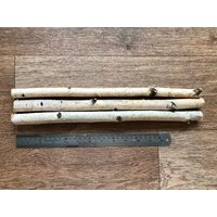 Set Aus 3 Kleinen 14-Zoll-Birkenstäbchen, Weiße Birkenzweige, Naturholzdekor von DecorNatural