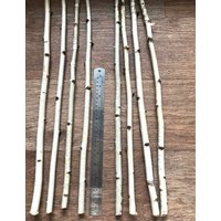 Set Mit 4 Kleinen 19-Zoll-stäben, Weiße Birkenzweige, Naturholzdekor von DecorNatural