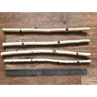 Set Von 4 Kleinen 30 cm Langen Stäben, Weiße Birkenzweige, Naturholzdekor von DecorNatural