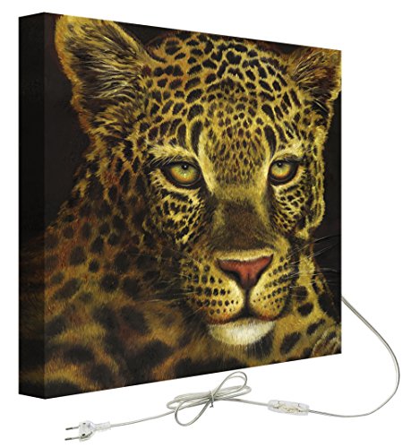 Decoralive Leopard Stirn Beleuchtetes Bild, textur, bunt, 75x75x5 cm von Decoralive