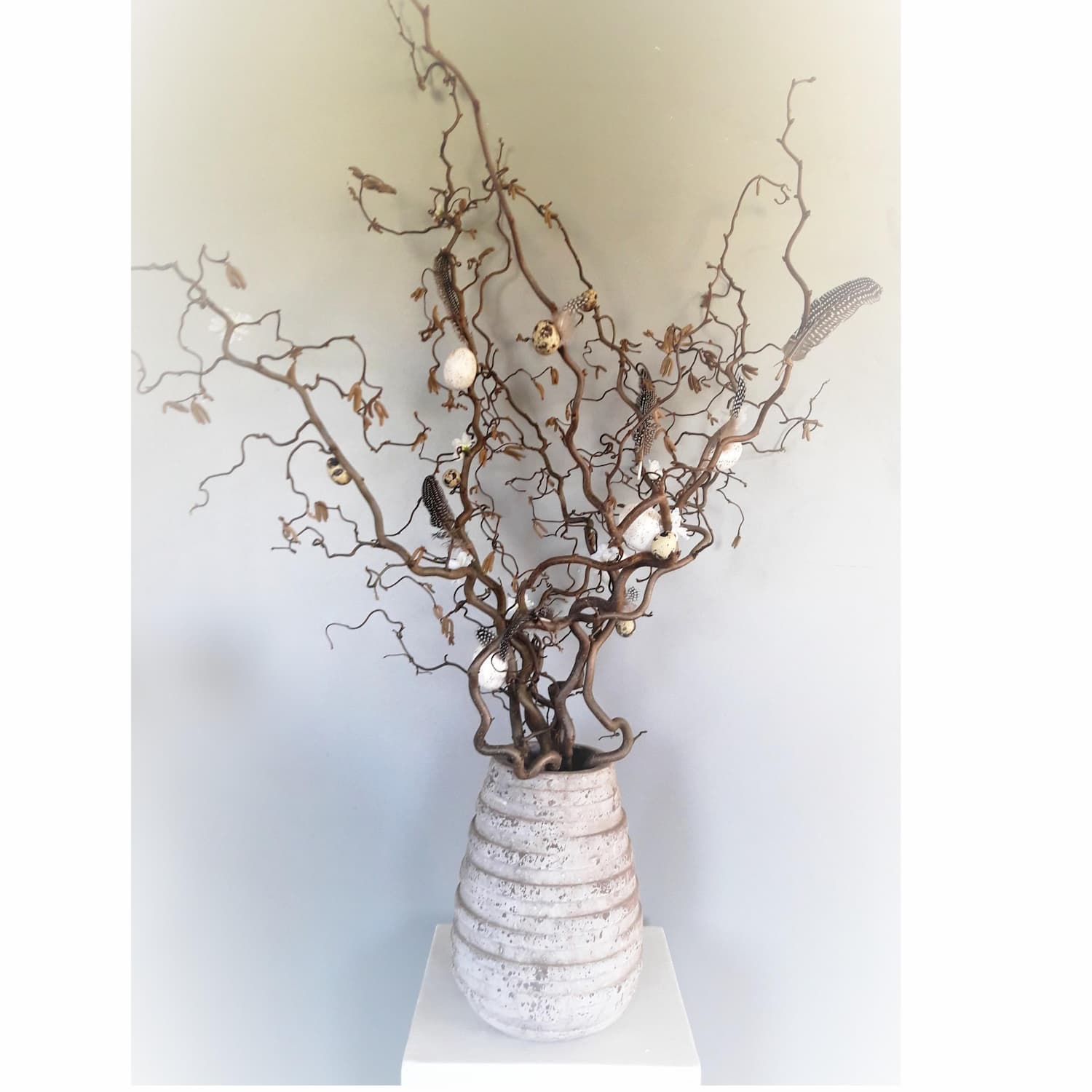 5 Korkenzieher Haselzweige | Naturbelassen | 150cm 5 Korkenzieher Haselzweige | Naturbelassen | 150cm von Decoratietakken