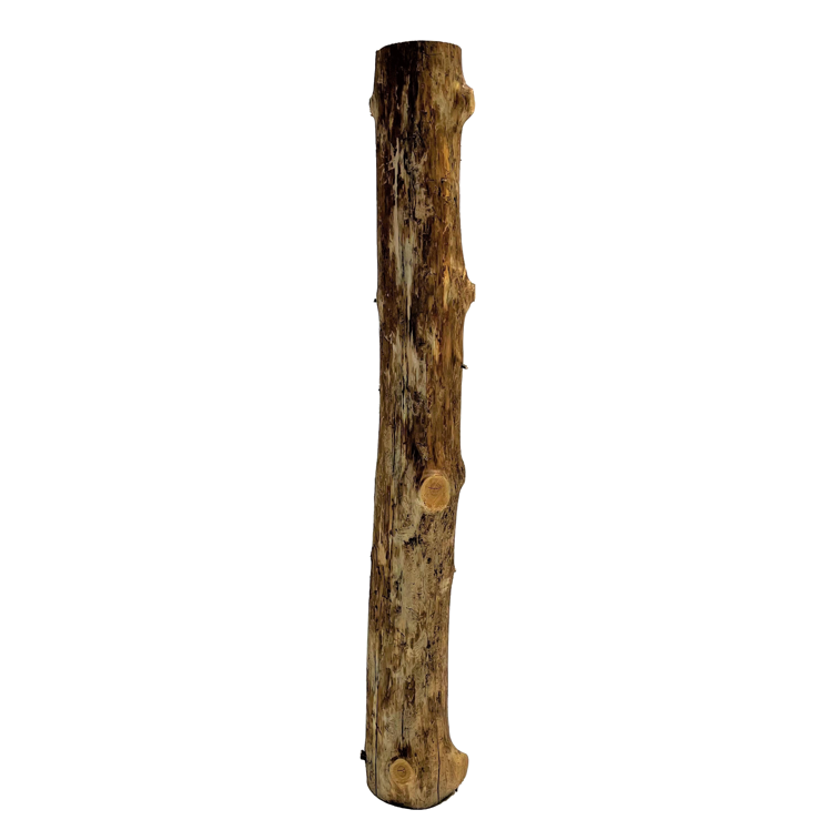 Baumstamm | Länge 50–100cm | Ø 10-12cm Baumstamm | Länge 50–100cm | Ø 10-12cm von Decoratietakken