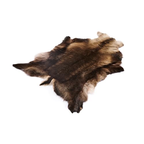 Decorating Sheepskins Premium Rentierfell Echt Finland XXXXL 140-150 cm (Bräunlich-Grau), geruchlos, Rentierfell, weich und flauschig, Fellteppich, Fell für Stühle, Dekofell von Decorating Sheepskins