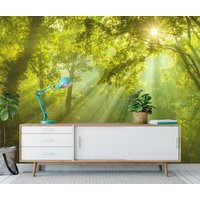 Sonnenstrahlen Durch Bäume Grün Wald Tapete Moderne Wand Dekor Natur Sommer Im Fototapete Große Wandbilder von DecorationBoutiqShop