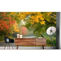 Wunderschöne Herbst Wald Straße Wand Wandbild Natur Moderne Dekor Bunte Fototapete Große Wandbilder Ungiftig von DecorationBoutiqShop