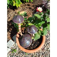 Pilz Dunkel Mit Rostfarbigen Pünktchen Heller Ton Keramik Beet Topf Deko Geschenk Herbst Auf Haselnuss von DecorationDetaillee