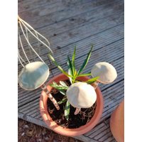 Pilz Keramik Beet Topf Deko Geschenk Herbst Auf Haselnuss von DecorationDetaillee