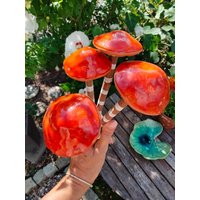 Pilz Keramik Lava Beet Topf Deko Geschenk Herbst Auf Haselnuss Pilz Keramik Lava Beet Topf Deko Geschenk Herbst Auf Haselnuss von DecorationDetaillee