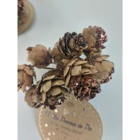 12 Mini-Tannenzapfen Mit Schokoladen-Glitzer 11 cm Zur Weihnachtsdekoration von Decorationsdemariage