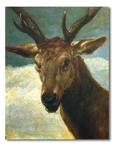 Decoratt Hochauflösendes Bild, mehrfarbig, 62 x 79 cm von Decoratt