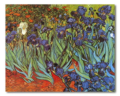 Decoratt Hochauflösendes Bild, mehrfarbig, 93 x 75 cm von Decoratt
