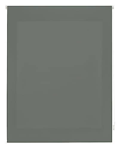 Decorblind | Transparentes Rollo, einfarbig, Maße Rollo: 100 x 175 cm, Breite x Länge/Maße Stoff, einfarbig, 97 x 170 cm, lichtdurchlässiges Rollo, Pastellgrau, einfache Montage an Wand oder Decke von Decorblind