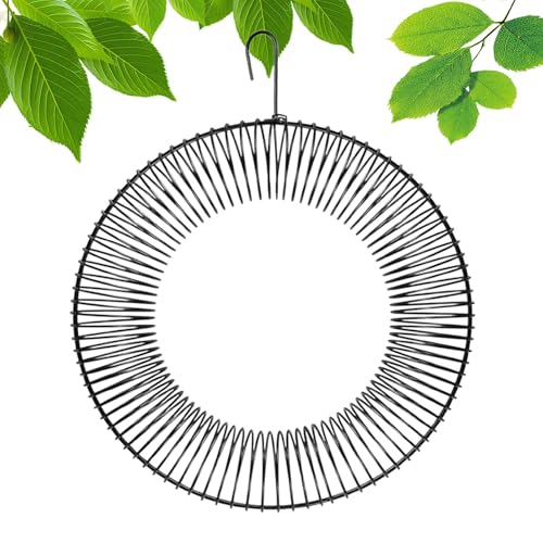 Decorhome Metall-Eichhörnchen-Futterstation – Outdoor-Kranz Eichhörnchen-Futterstation – Mehrzweck-Eichhörnchen-Futterspender zum Aufhängen, Vogelfutterzubehör für Garten, Hof von Decorhome