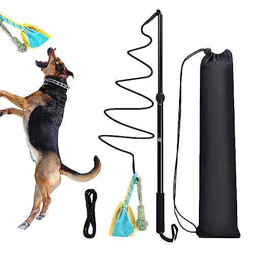 Dog Teaser Stick, Dog Extendable Flirt Wand Extendable Pet Teasing Flirt Interactive Toy, Dog Chew Tail Ropes for Puppy and Kittens, Indoor and Outdoor von Decorhome