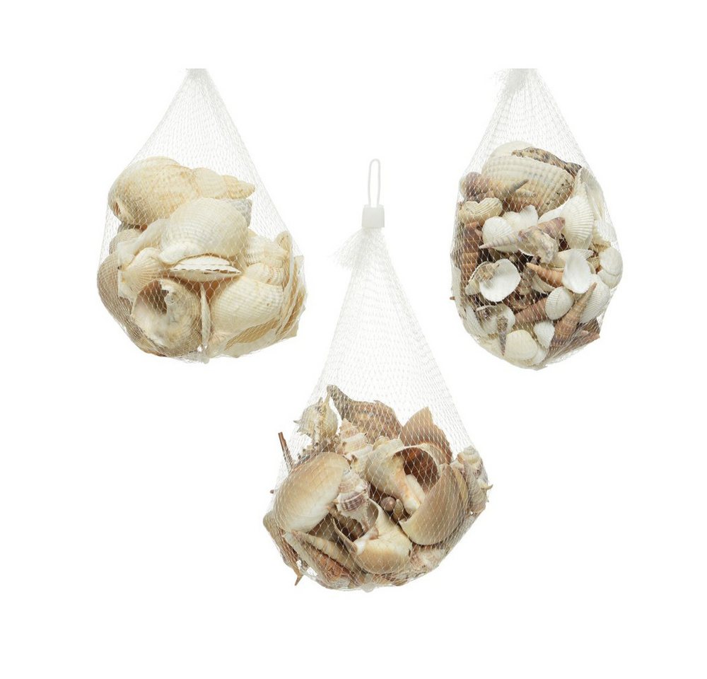 Decoris season decorations Hängedekoration Dekomuscheln - im Säckchen - ca. 350 g - 1 Stück Decoris season decorations Hängedekoration Dekomuscheln - im Säckchen - ca. 350 g - 1 Stück von Decoris season decorations