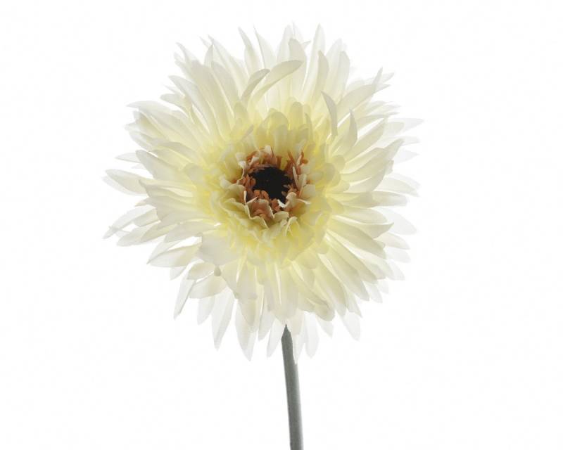 Kunstblume, Decoris season decorations, Kunstblumen Gerbera 54cm weiß, 1 Stück von Decoris season decorations