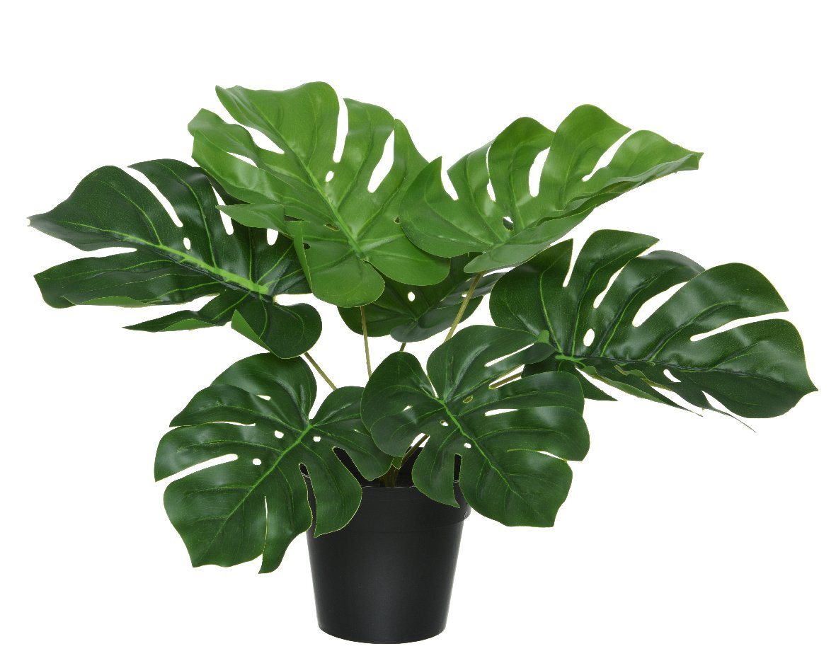 Kunstblume, Decoris season decorations, Kunstpflanze Monstera im Topf 25cm von Decoris season decorations