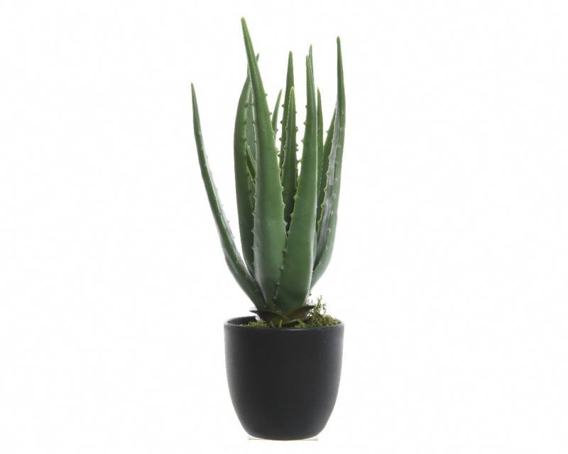 Kunstpflanze, Decoris season decorations, Kunstpflanze Aloe Vera im Topf 35cm grün von Decoris season decorations