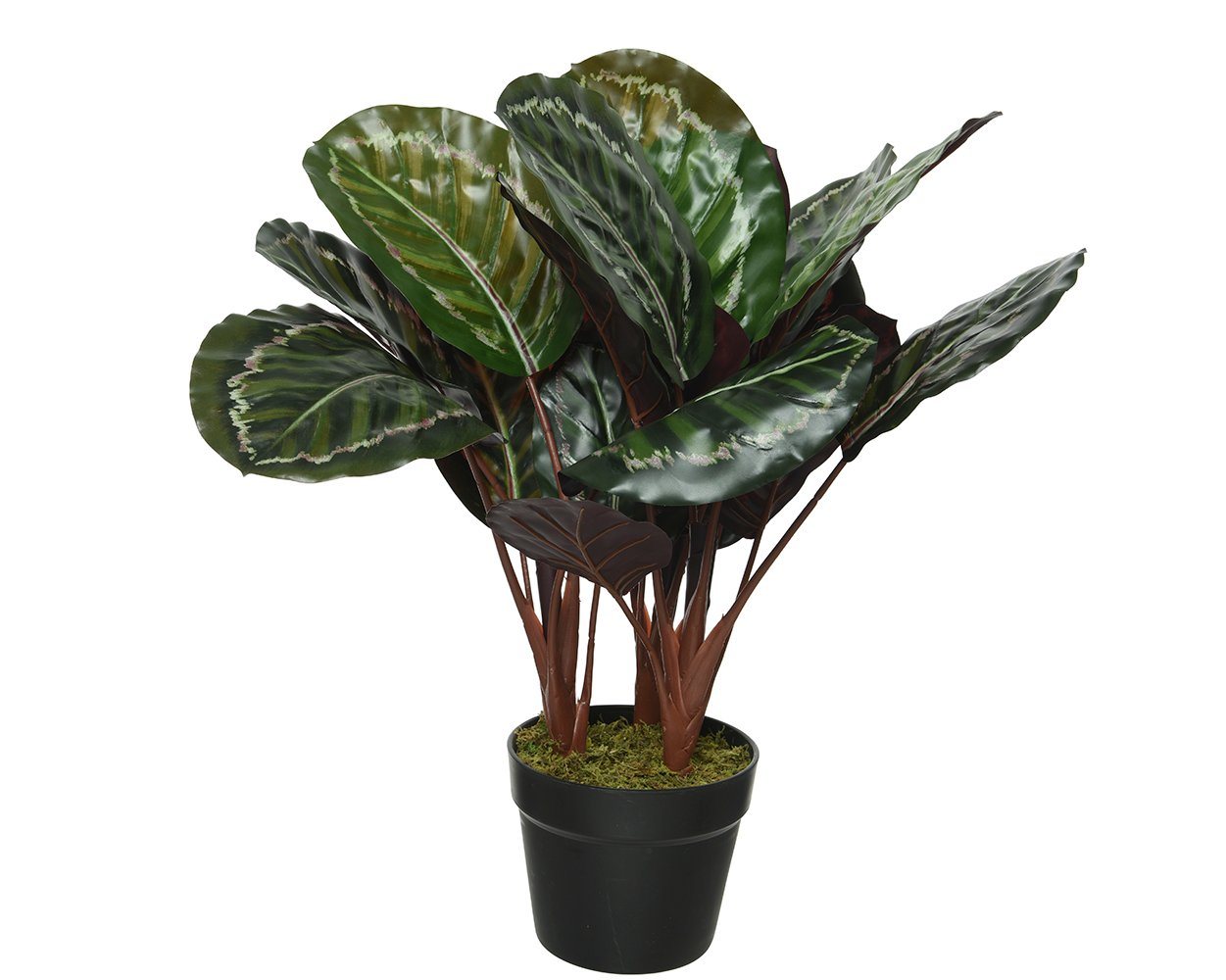 Kunstpflanze, Decoris season decorations, Kunstpflanze Calathea 60x47cm im Topf von Decoris season decorations