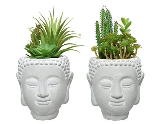 Decoris Künstliche Sukkulenten 23cm x 1 Stück im Buddha Steingut Topf Sortiert Kunstpflanzen Kaktus Decoris Künstliche Sukkulenten 23cm x 1 Stück im Buddha Steingut Topf Sortiert Kunstpflanzen Kaktus von Decoris