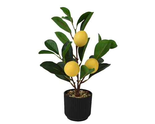 Decoris Künstlicher Zitronenbaum 27cm im Topf - Kunstpflanze Zitronenbäumchen - Topfpflanze Zitrone als Frühlingsdeko Osterdeko Sommerdeko - Zitruspflanze - Gelb Grün von Decoris