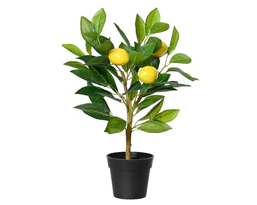 Decoris Künstlicher Zitronenbaum 43cm im Topf - Kunstpflanze Zitronenbäumchen - Topfpflanze Zitrone als Frühlingsdeko Osterdeko Sommerdeko - Zitruspflanze - Gelb Grün von Decoris