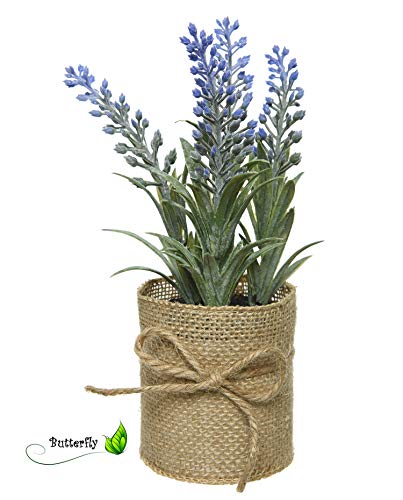 Decoris Mini Kunstpflanze im Hängetopf 12cm x 1 Stück Sortiert Hängepflanze von Decoris