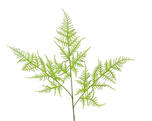 Künstlicher Asparagus Zweig 85cm - Kunstzweig Zierspargel - Zweige Dekozweige - Kunstblumen Spargelfarn Hochzeitsdeko Frühlingsdeko Osterdeko - Grün von Decoris