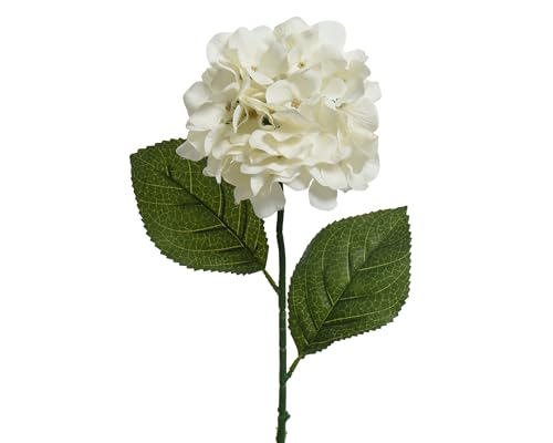 Kunstblumen Hortensie mit Stiel 66cm - Dekoblumen & Seidenblumen - künstliche Blumen für Blumendeko Tischdeko Hochzeitsdeko Kunstblumengesteck - Creme Weiß von Decoris