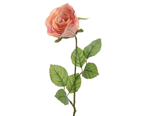 Kunstblumen Rose 45cm x 1 Stück Hochzeit Polyester ideal für Vase - Seidenblumen Seidenrosen schöne Dekoration für Ihr Zuhause - Kunstrosen künstliche Blumen - Pfirsich von Decoris