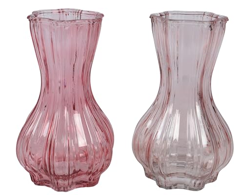 Vase Glas 20cm Deko Blumenvase Rosa Pink 1 Stück Sortiert - Stabile Tischvase - Wohnzimmer Dekovase - Glasvase Modern Rund - Tulpenvase Home Decor - Flower Vases - Tischdeko Geschenk von Decoris