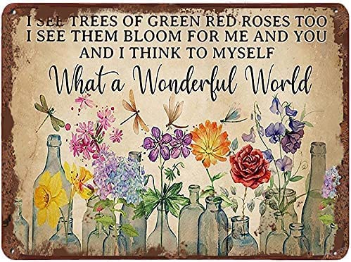 Vintage Weihnachts-Blechschild Libelle What A Wonderful World Blumen Metall Blechschild Wanddekoration Home Art Dekoration Pub Plaque 20,3 x 30,5 cm von Decorolo