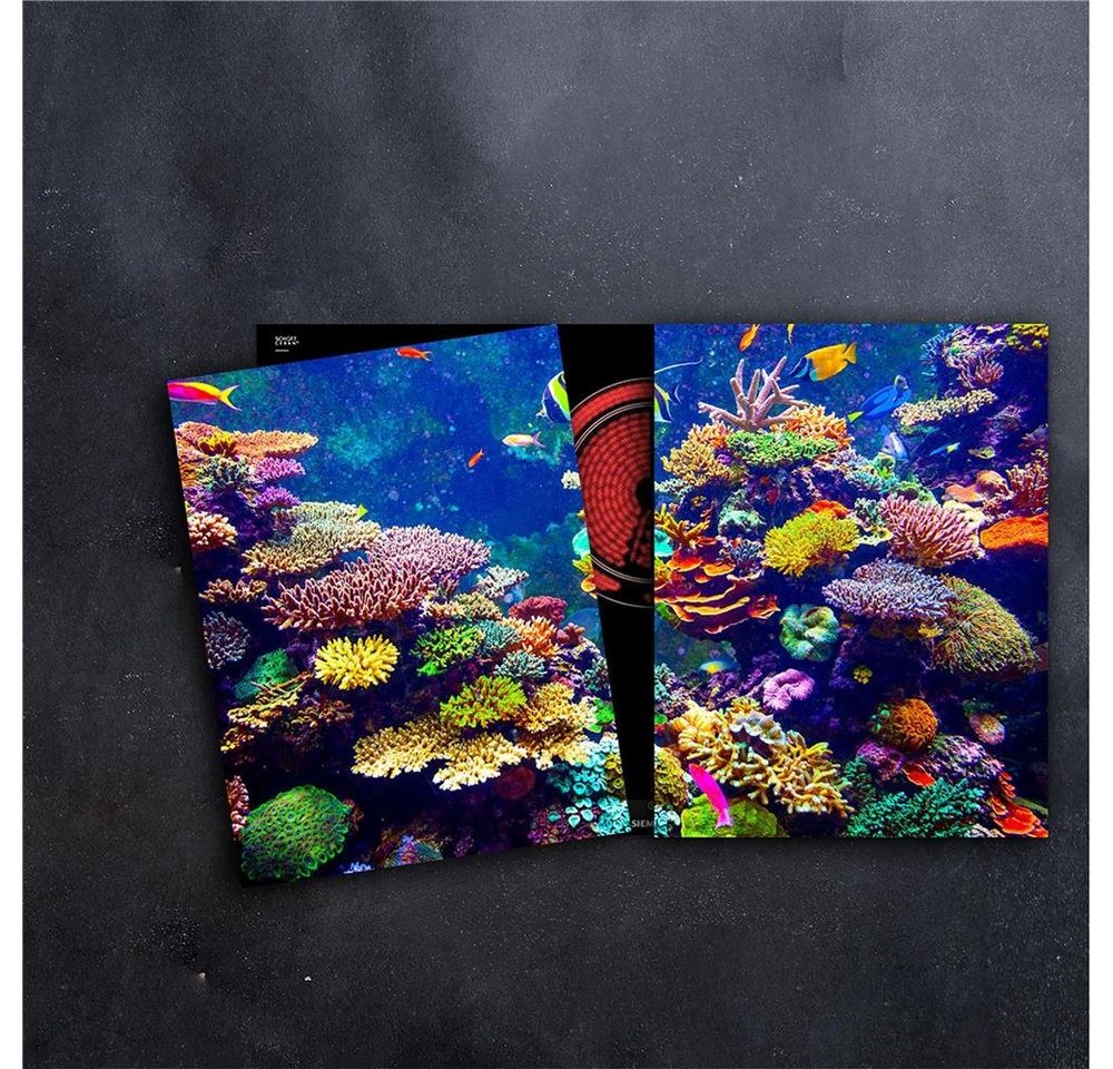 Decorwelt Herd-Abdeckplatte Ceranfeldabdeckung 80x52 2-teilig Unterwasserwelt Pflanzen Decorwelt Herd-Abdeckplatte Ceranfeldabdeckung 80x52 2-teilig Unterwasserwelt Pflanzen von Decorwelt