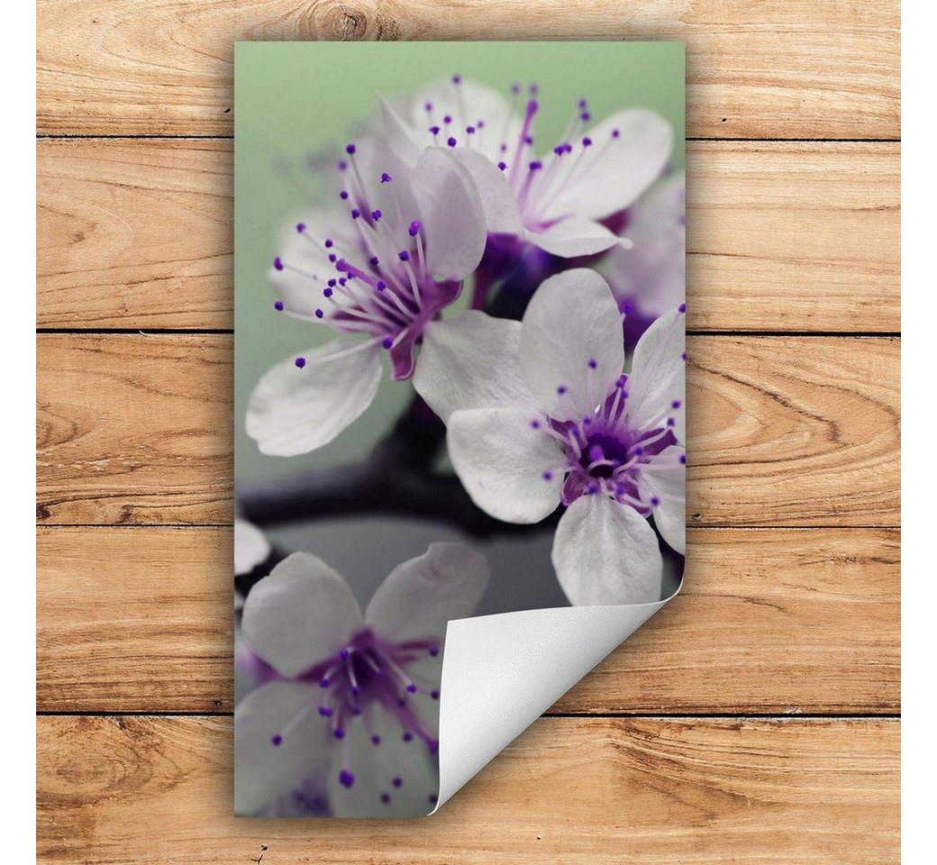 Decorwelt Herd-Abdeckplatte Herdabdeckplatte Kunststoff Aufrollbare Matte Küche Blumen Weiß Herd, (30x52, 1 tlg), für alle Herdarten excl. Gasherde von Decorwelt