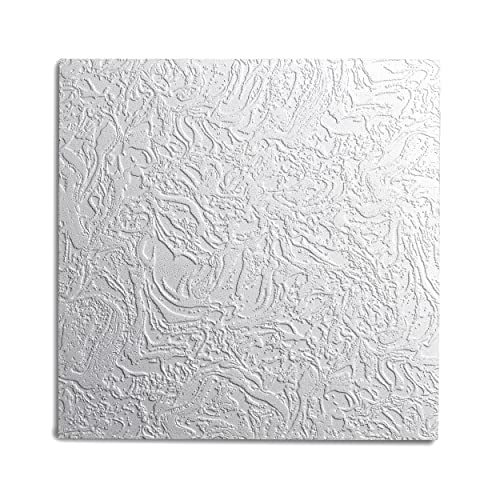 Decosa Deckenplatten AP 101 (BERN) - 80 Platten = 20 m2 - Edle Deckenpaneele weiß in Putz Optik - Dekor Paneele 50 x 50 cm aus Styropor - Decken Styroporpaneele von Decosa