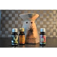 Duftlampe Mit 5 Duftölen Für Den Herbst Herz 120 von Decoshop24