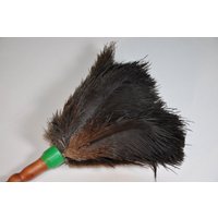 straußenfedernstaubwedel Mit Naturfeder Ct 1002 straußenfedernstaubwedel Mit Naturfeder Ct 1002 von Decoshop24