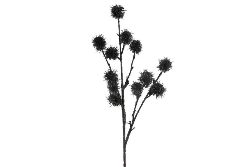 Kunstzweig Dekozweig Liquidambar styraciflua schwarz 68cm, Decostar von Decostar