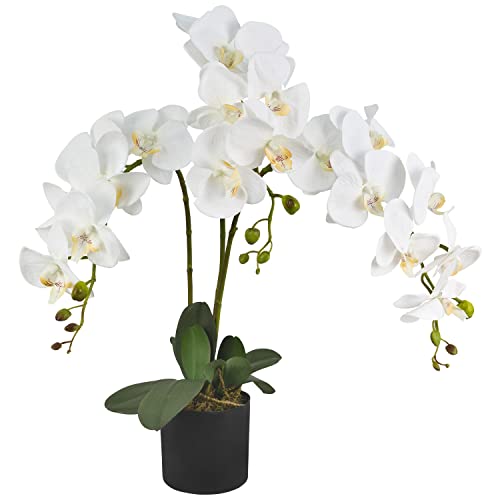 Decovego Künstliche Orchidee Kunstpflanze Künstliche Pflanze Kunstblume Innendekoration Kunst Pflanze wie echt im Topf Auswahl, Auswahl Orchidee Pflanze:Orchidee Modell 7 von Decovego