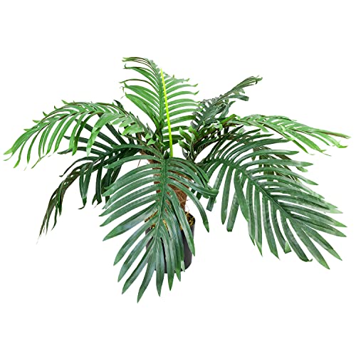 Decovego künstliche Pflanze, künstliche Pflanzen als Deko Wohnzimmer, Kunstpflanzen groß, Plastik Pflanze wie echt, Auswahl Palme Pflanze:Palme Modell 19 (Palmfarn 60 cm) von Decovego