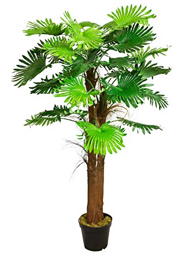 Künstliche Palme Pflanze Kunstpflanze Palmbaum Fächerpalme Deko Zimmerpflanze Kunstbaum künstlich im Kunststofftopf Plastikpflanze 180 cm Decovego Künstliche Palme Pflanze Kunstpflanze Palmbaum Fächerpalme Deko Zimmerpflanze Kunstbaum künstlich im Kunststofftopf Plastikpflanze 180 cm Decovego von Decovego